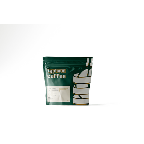 Costa Rica Humming Bird